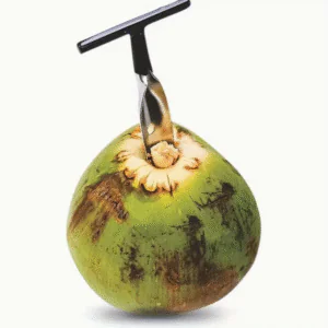 Portable Stainless Steel Coconut Drill